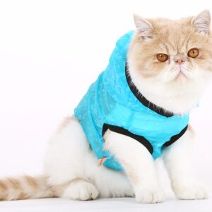 Pet Summer Rain and Sun Jacket